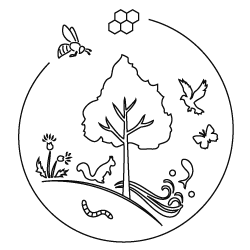 もりとみつばち